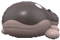 Clodsire